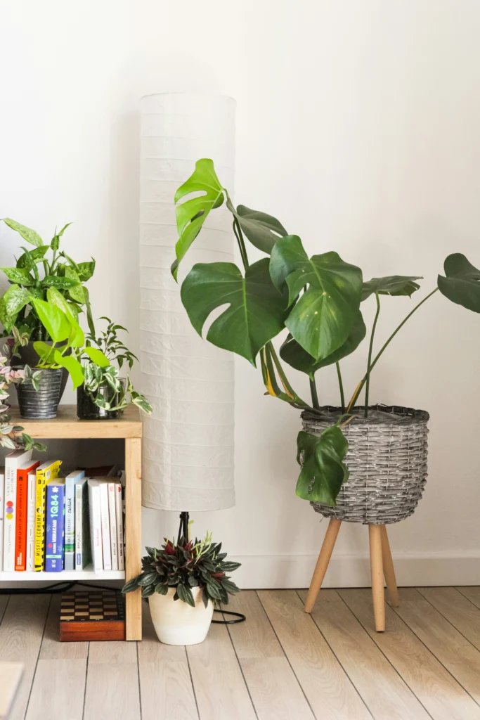 Design Inspiration 10 Chic Home Decor You’ll Love Forever