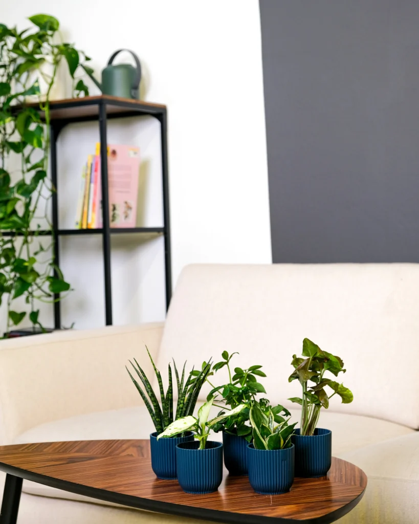 Stylish Home Vibes10 Decorating Ideas That Refresh Spaces