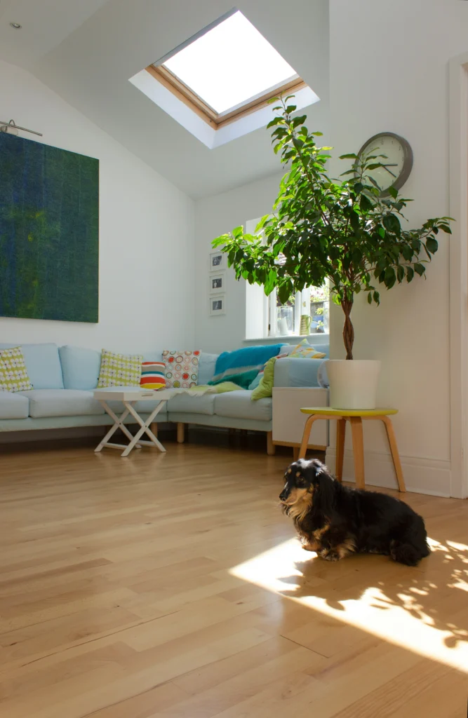 Stylish Home Vibes 10 Chic Home Decor You Need to Try