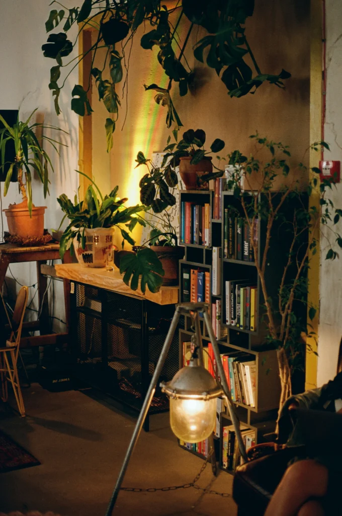 Cozy Home Decor Warm Styles for Every Season