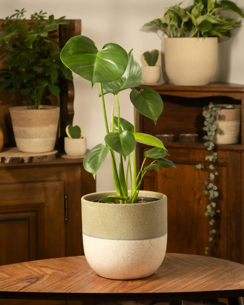appy Home Decor 10 Bright Ideas to Lift Every Room