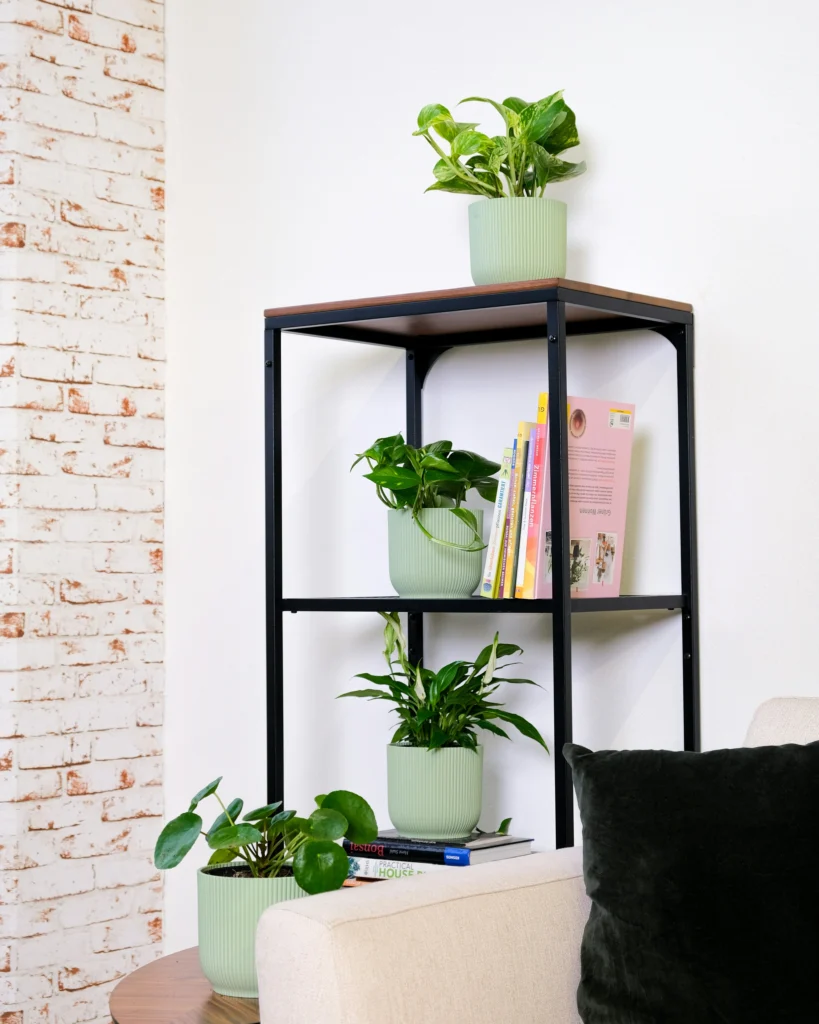 appy Home Decor 10 Bright Ideas to Lift Every Room