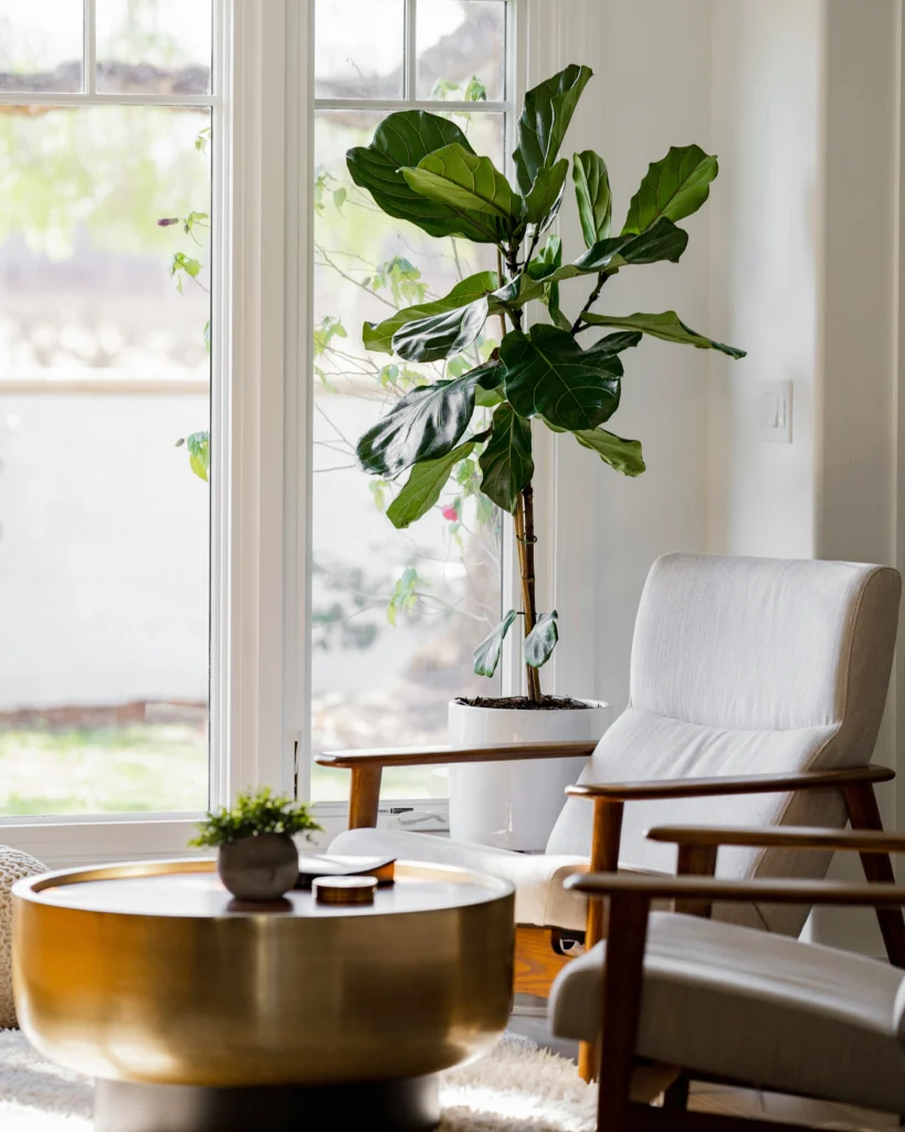 10 Aesthetic Home Decor Ideas That Inspire Calm Living