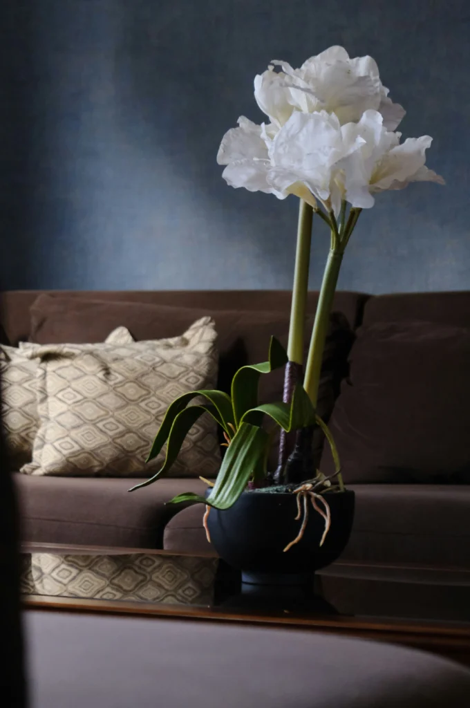 10 Cozy Home Decor Goals That Create Inviting Spaces