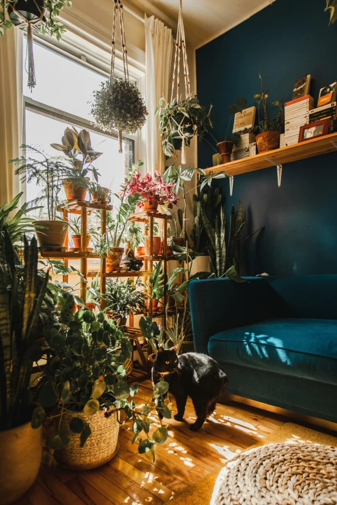 Home Mood Cozy Decorating Ideas for Relaxed Living