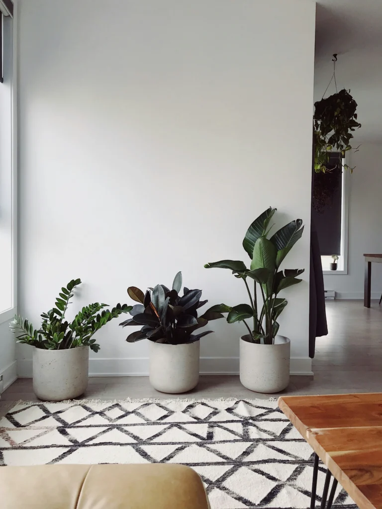 Chic Home Decor Trends That Define Modern Elegance