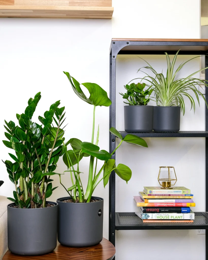Home Mood Chic Decorating Ideas for a Relaxed Lifestyle