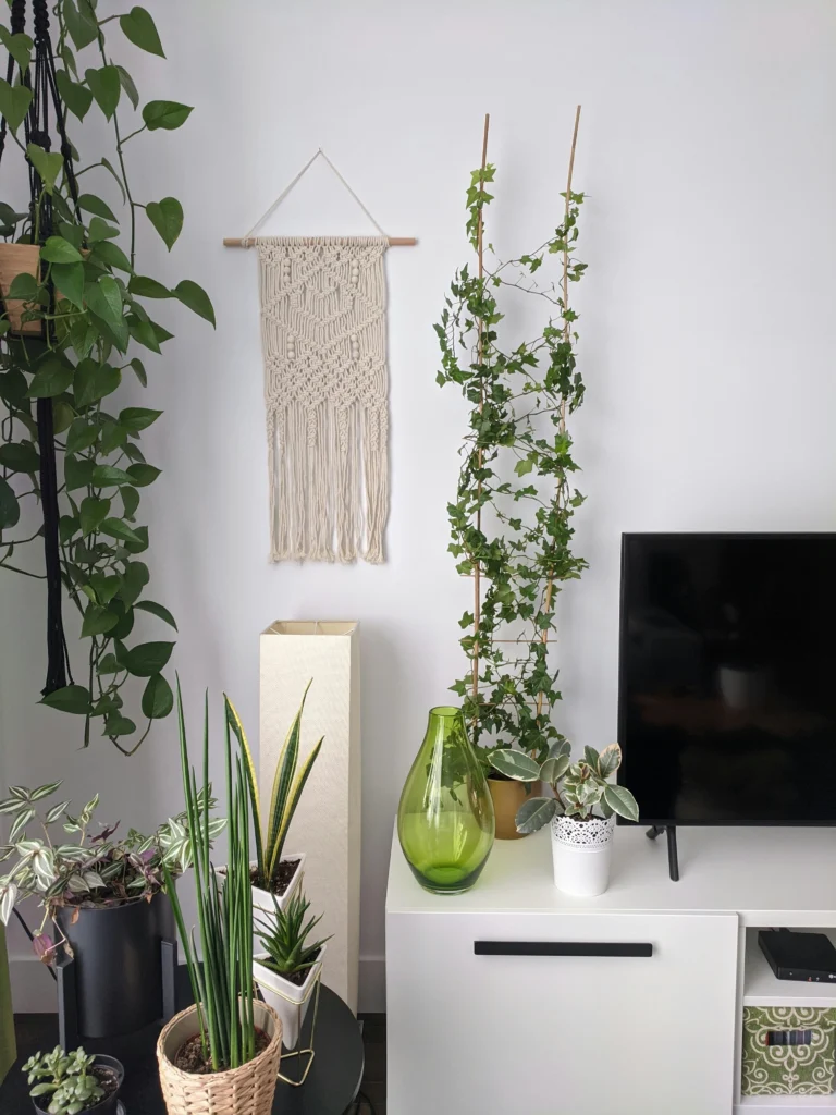 Modern Vibes 9 Home Decorating Tips for Stylish Living