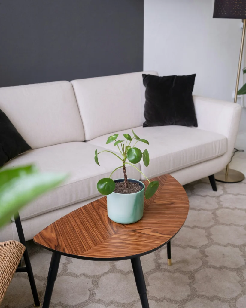 Home Mood Chic Decorating Ideas for a Relaxed Lifestyle