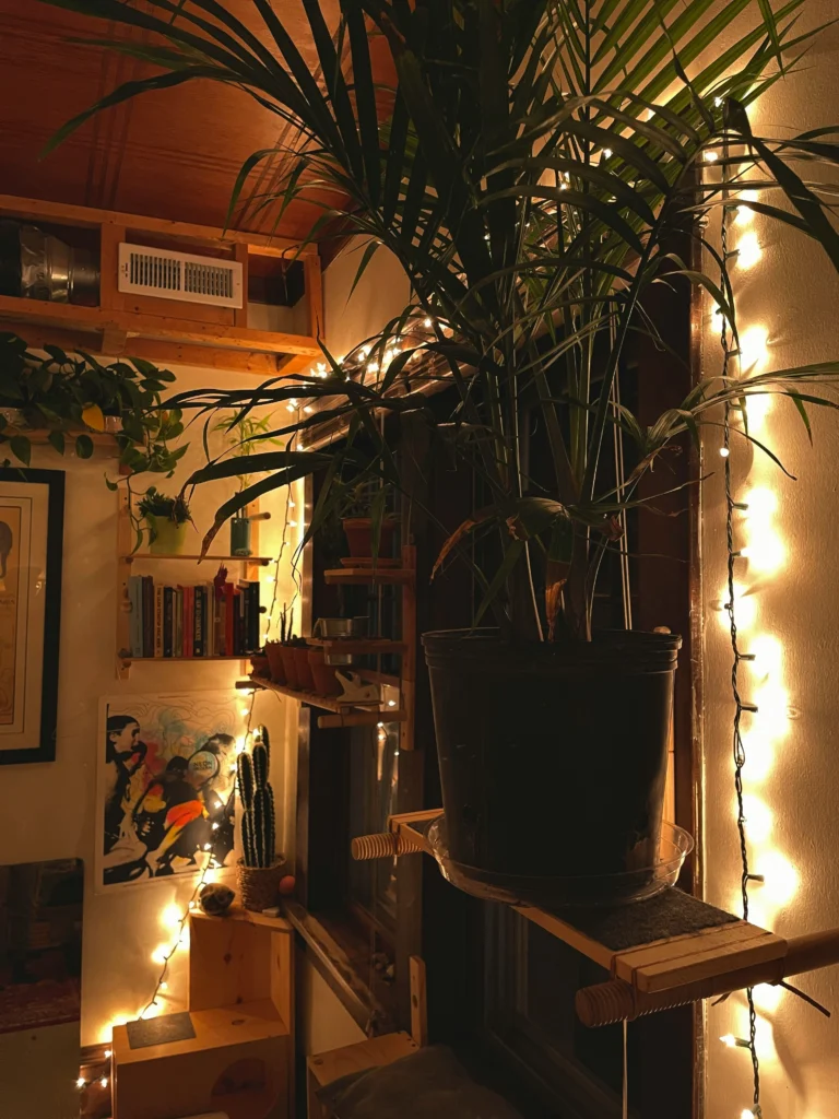 Aesthetic Home Inspiration Simple Decor That Feels Dreamy