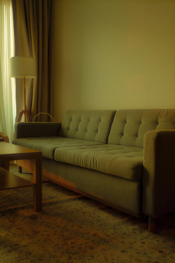 Modern Vibes 9 Home Decorating Tips for Stylish Living