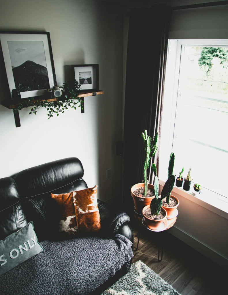 Cozy Vibes Home Decor That Makes Every Room Feel Warm