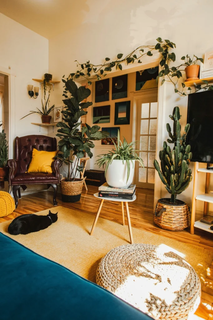 Chic Home Decor Elegant Decorating Ideas That Elevate Style