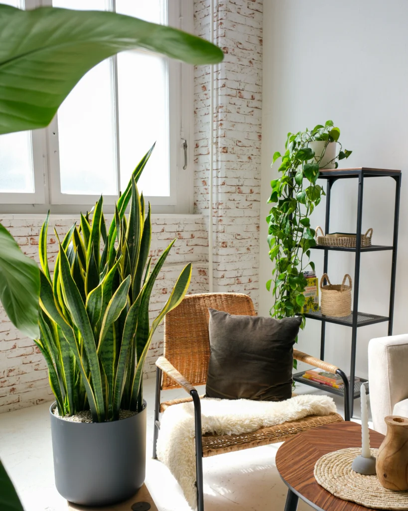 Stylish Home Vibes10 Decorating Ideas That Refresh Spaces