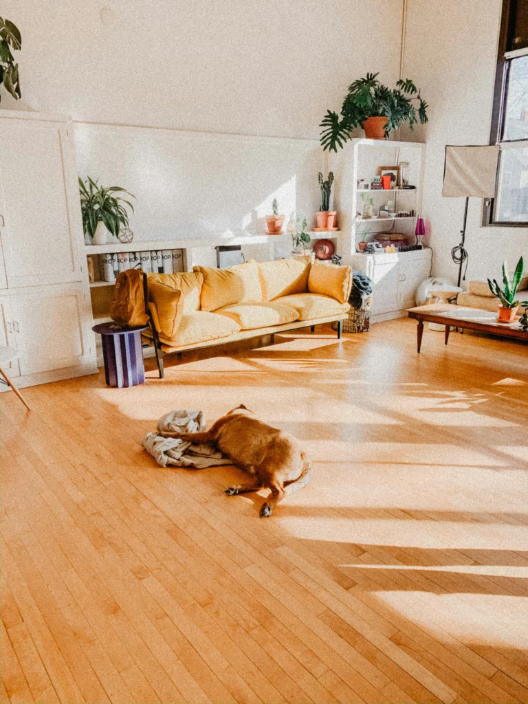 Modern Home Decor That Blends Comfort and Sophistication