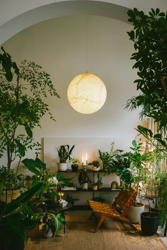 Chic Vibes 9 Stylish Home Decor Ideas You Must Try