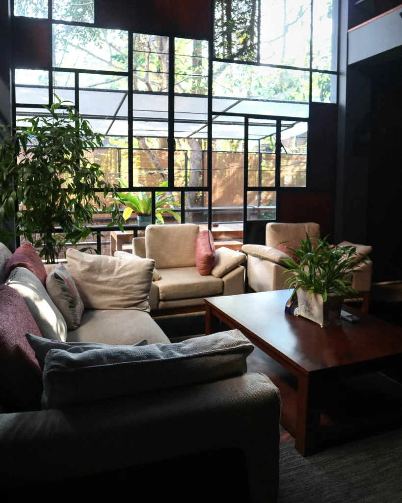 Chic Vibes 9 Stylish Home Decor Ideas You Must Try