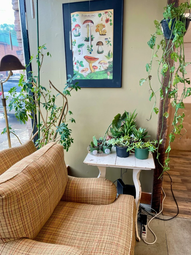 Dreamy Home Decor Inspiration to Refresh Your Living Space