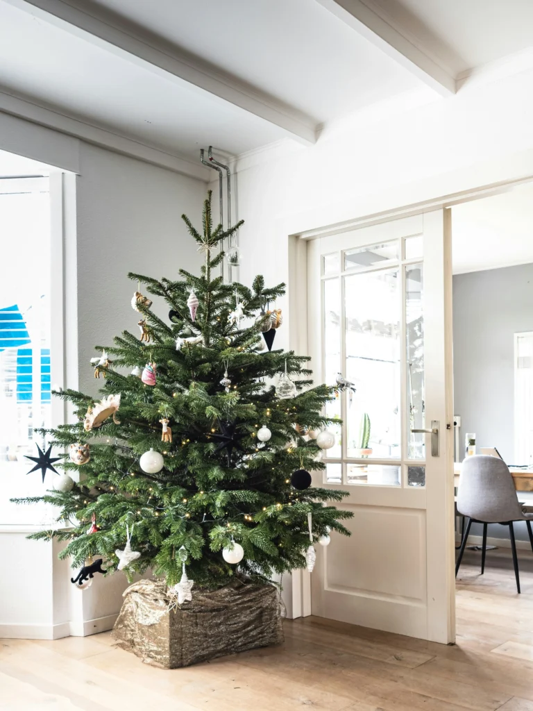 Relaxing Home Ideas Cozy Decor That Soothes the Soul