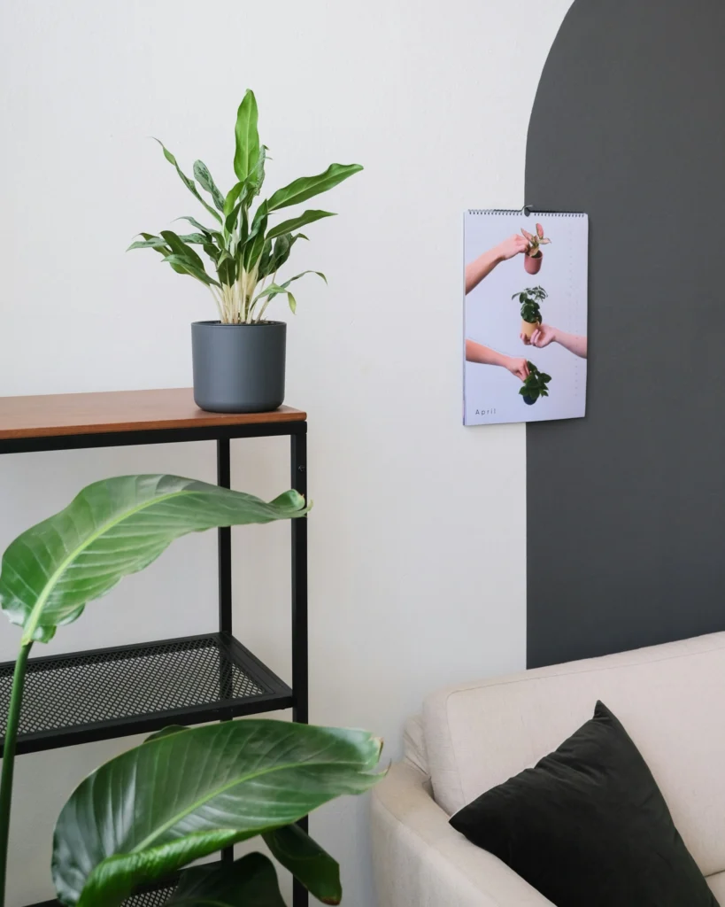 Chic Vibes 10 Home Decor Trends That Feel Timeless