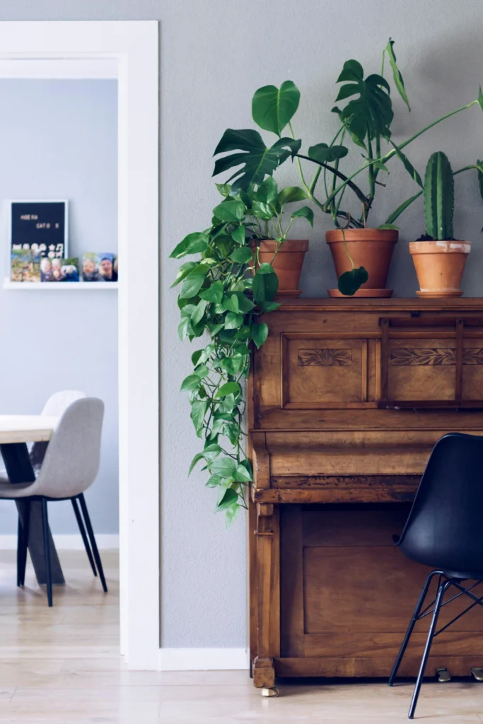 Relaxing Home Ideas Cozy Decor That Soothes the Soul