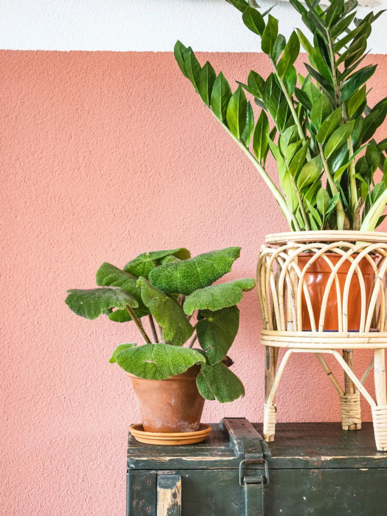 Relaxing Home Ideas Cozy Decor That Soothes the Soul