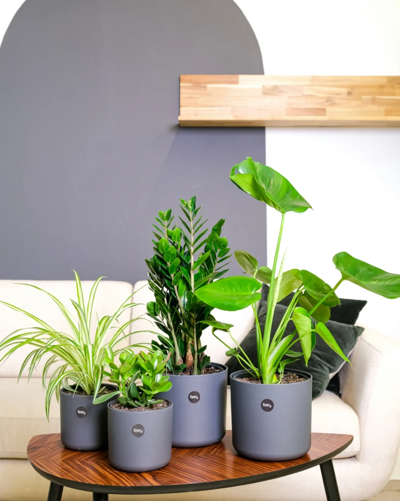 9 Elegant Home Decor Ideas for a Chic Aesthetic Home