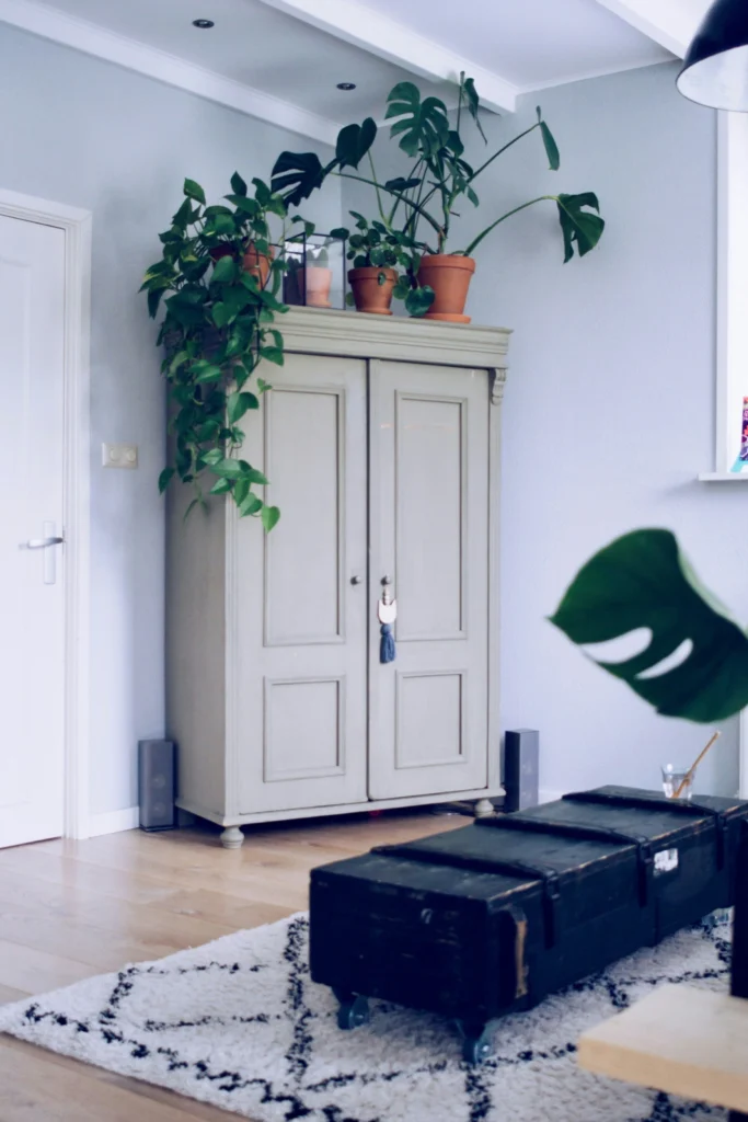 9 Dreamy Home Decor Tips to Transform Any Living Room