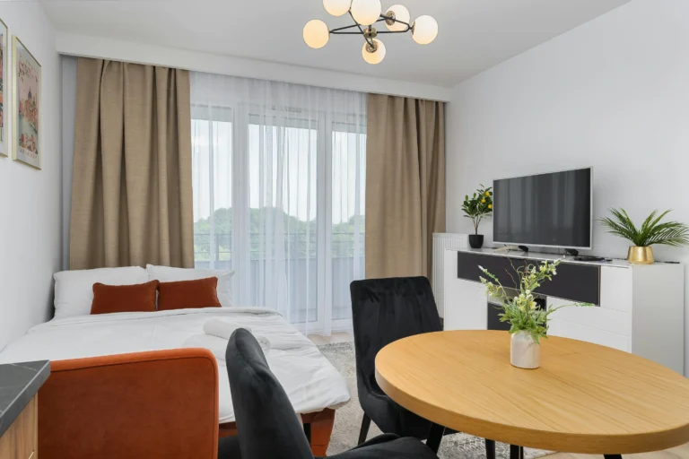 19 Small Studio Apartment Decor Ideas on a Budget Creative Ideas to Try!