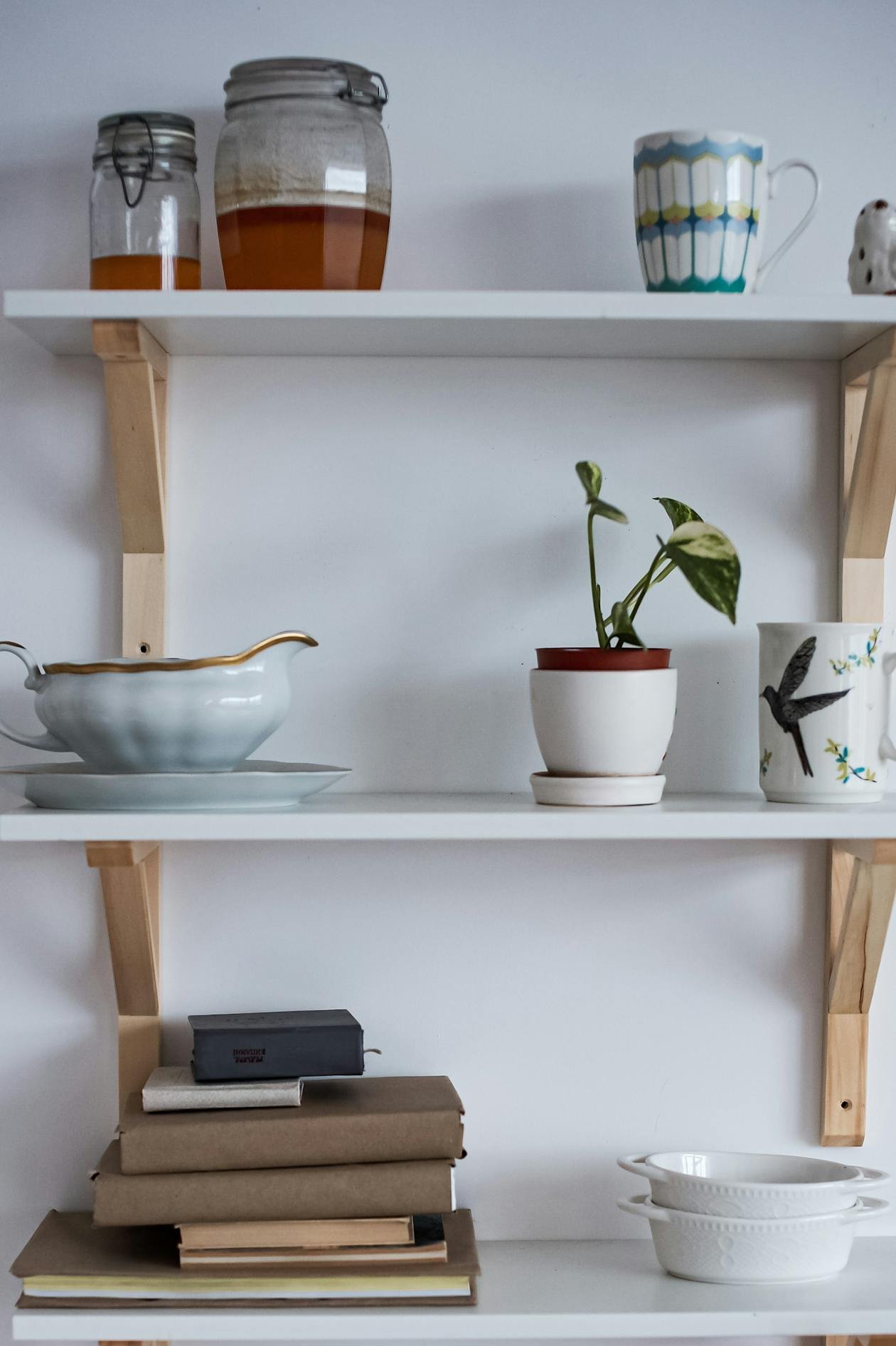 Kitchen shelves with organized cookware and plants in a compact apartment