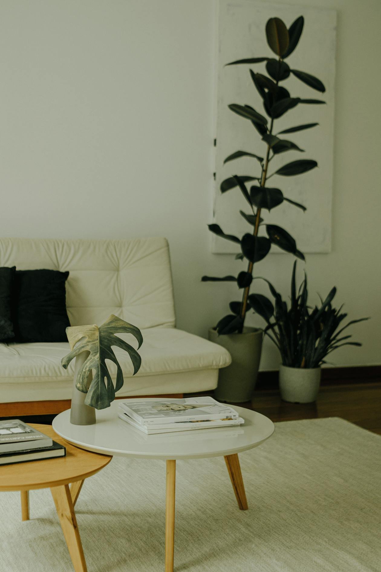 Calm minimalist living space with indoor plants and natural light
