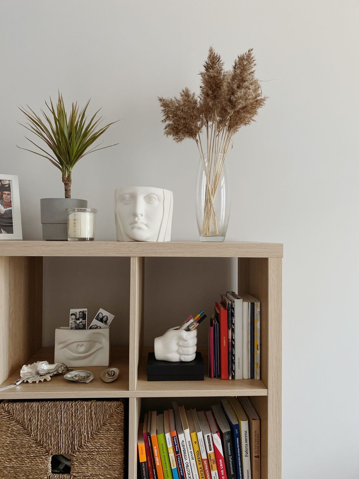 Minimalist shelf styled with books and plants against a light wall