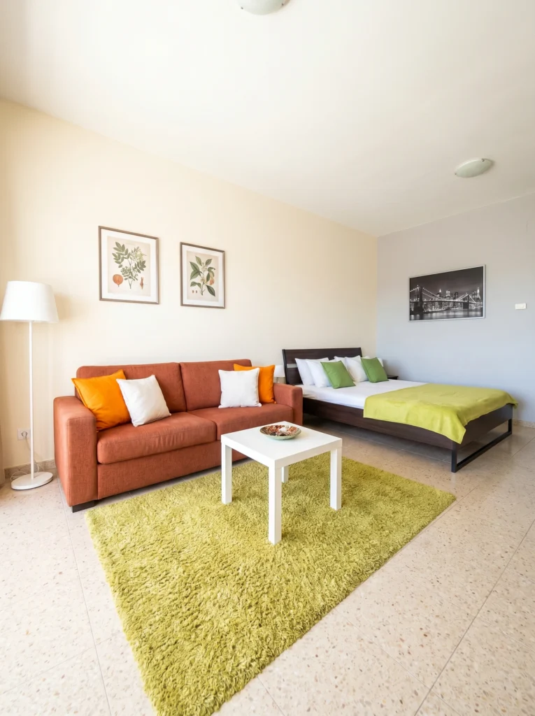 Studio Apartment Ideas