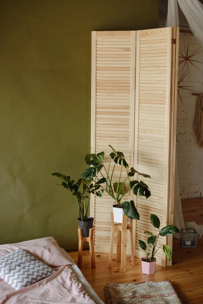 Studio Apartment Temporary Divider Ideas