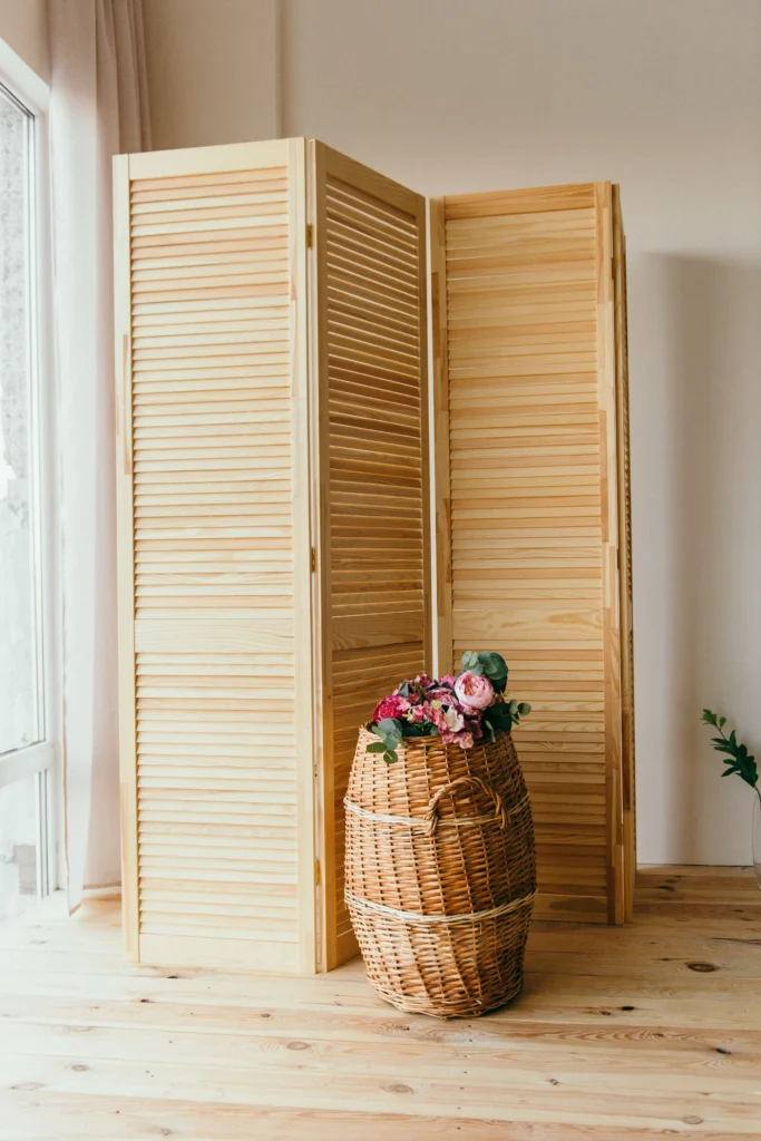 Studio Apartment Temporary Divider Ideas