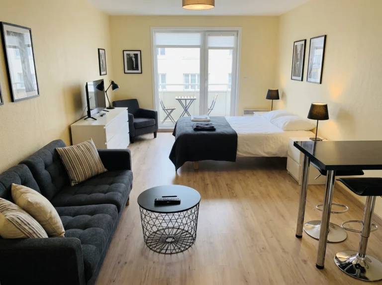 Micro Studio Apartment Ideas