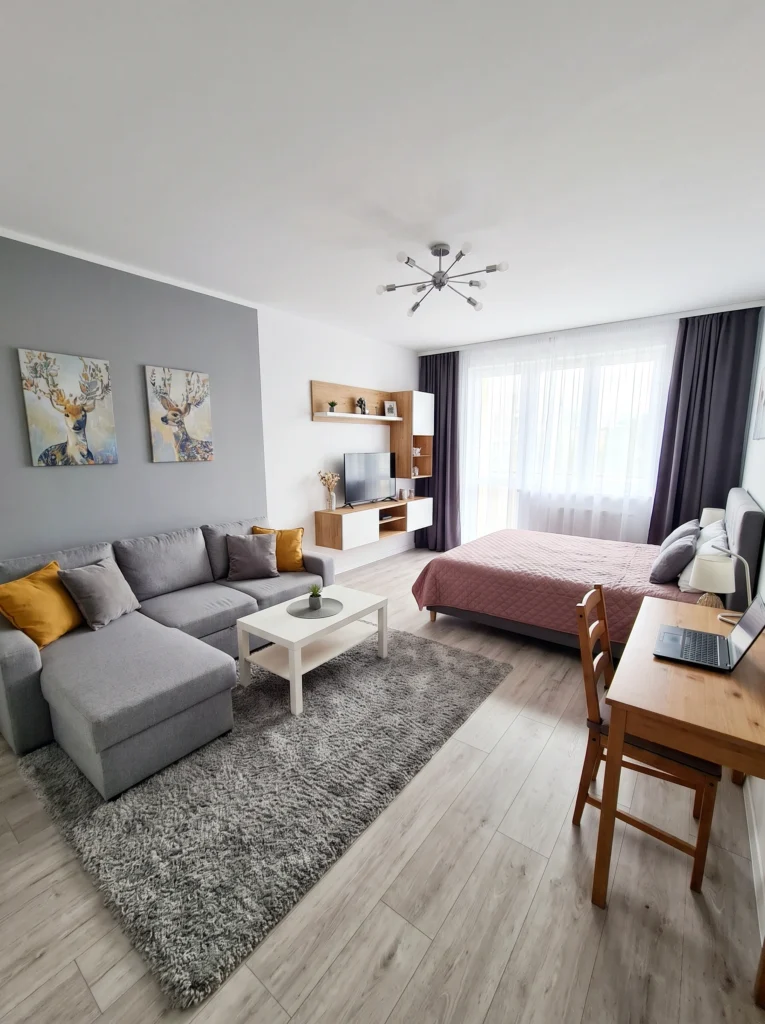 Studio Apartment Ideas for Living Simplicity