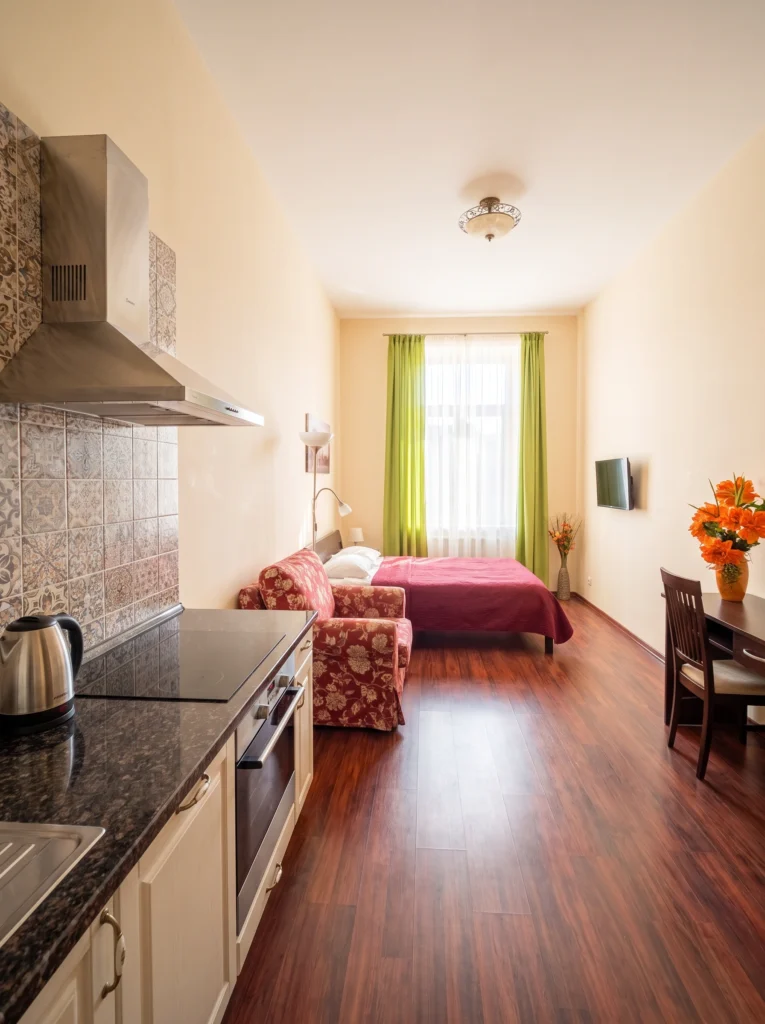 Modern Studio Apartment Layout Ideas