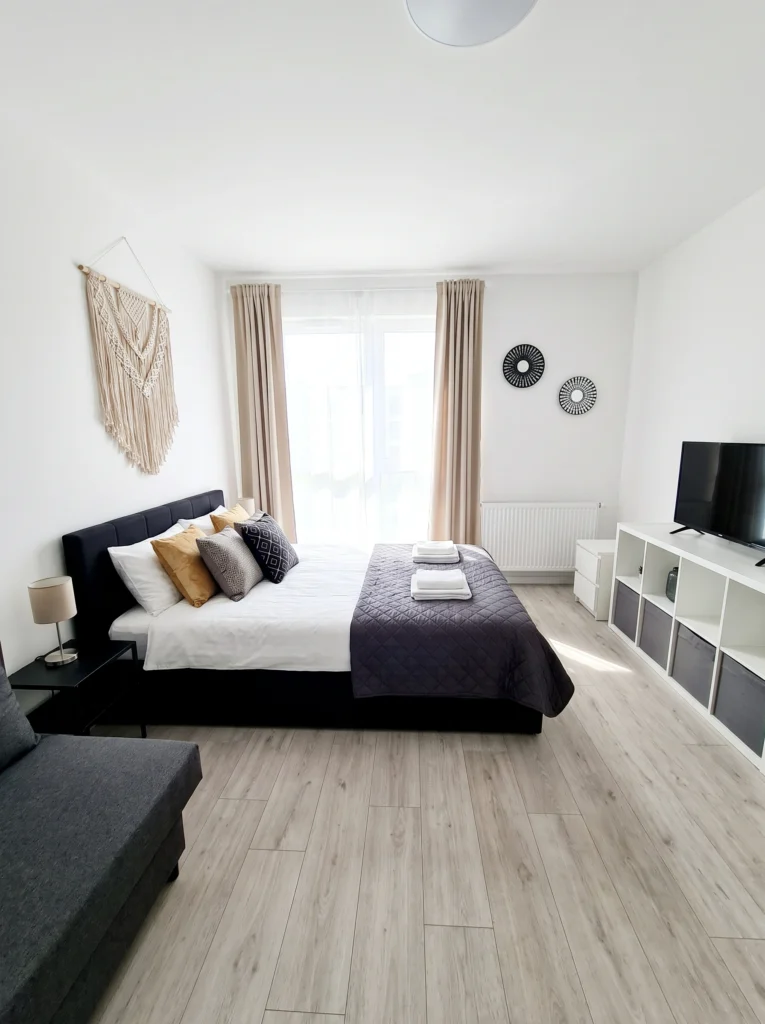 Studio Apartment Ideas for Introverts Who Need a Calm Retreat
