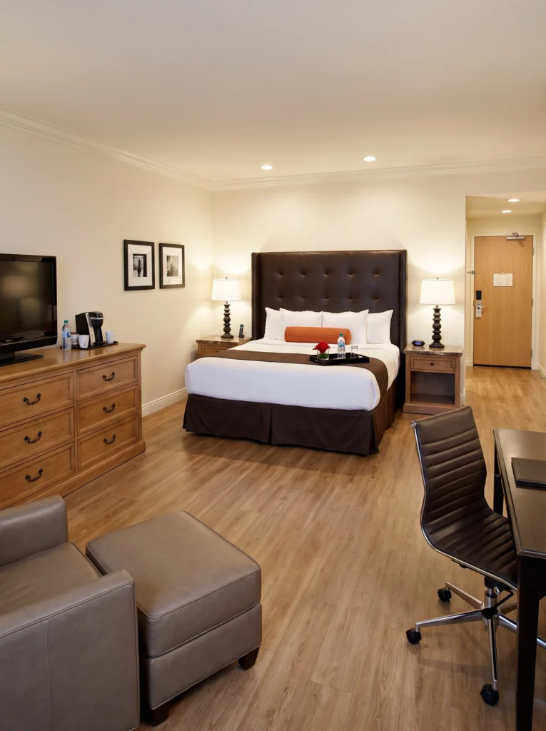 Studio Apartment Ideas for Men