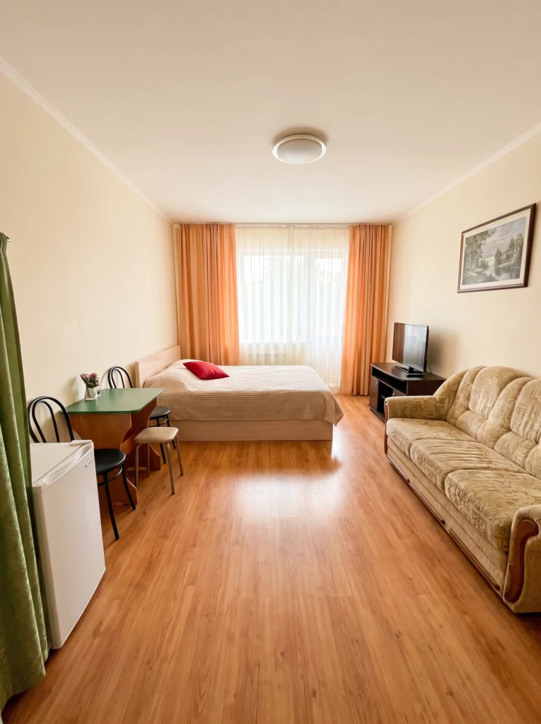 Studio Apartment Decorating Ideas 