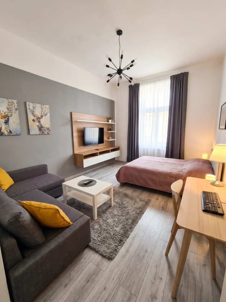  Studio Apartment Layouts