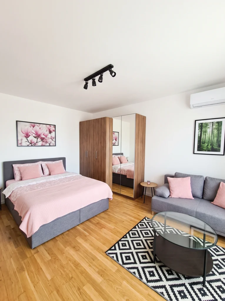 Bedroom Living Room Combo Ideas for a Studio Apartment