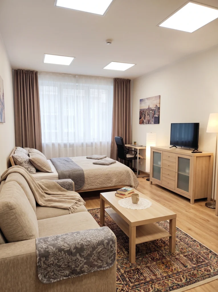 Chic Studio Apartment Ideas 