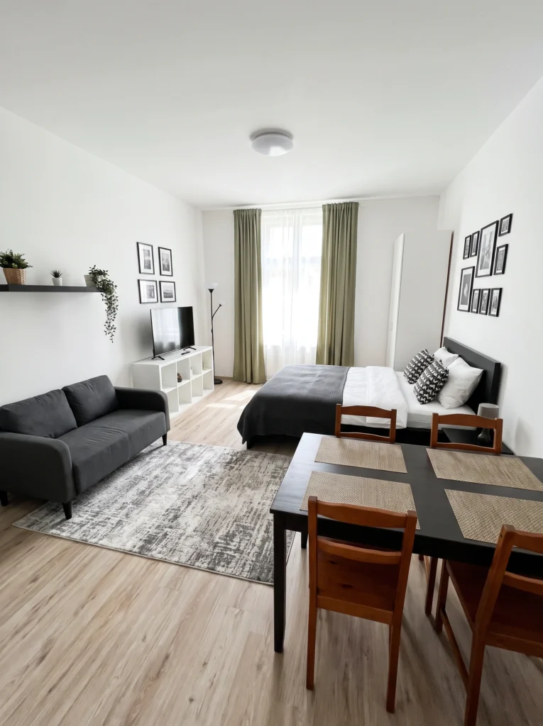  Small Studio Apartment Layout Ideas