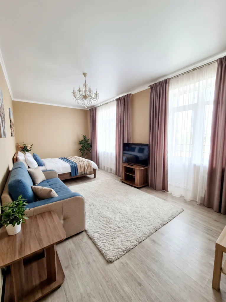 Bedroom Living Room Combo Ideas for a Studio Apartment