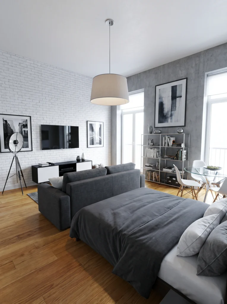Bedroom Living Room Combo Ideas for a Studio Apartment
