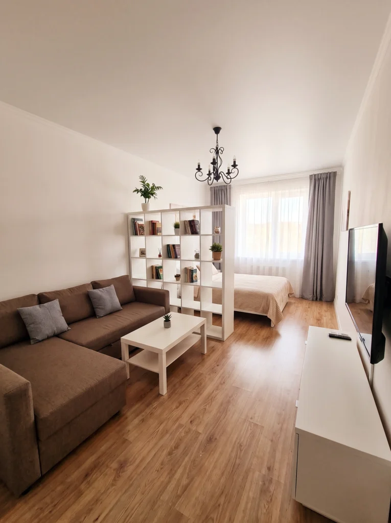 Cozy Studio Apartment Ideas with a Separate Sleep Zone