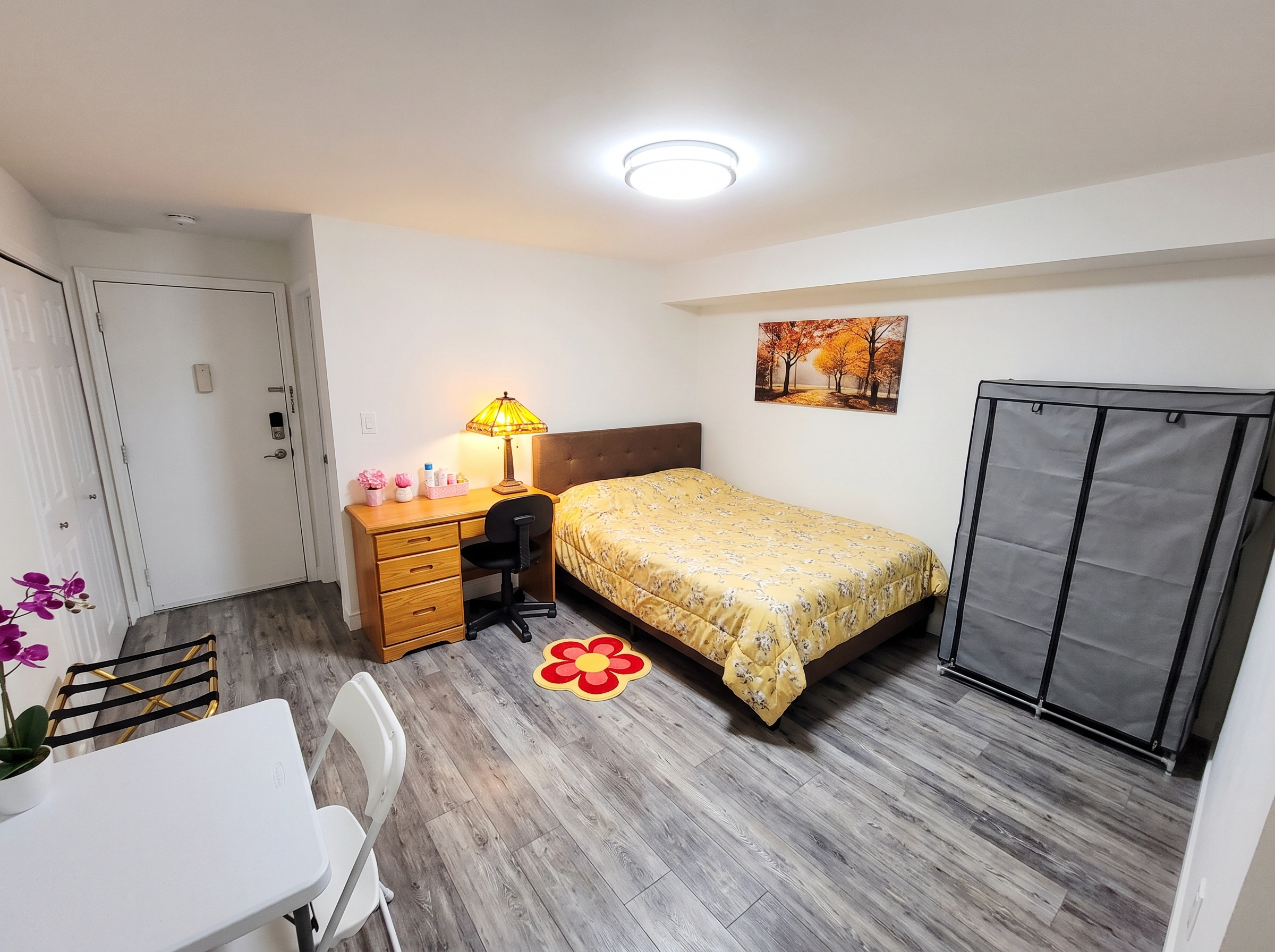 Cozy Studio Apartment Ideas on a Budget